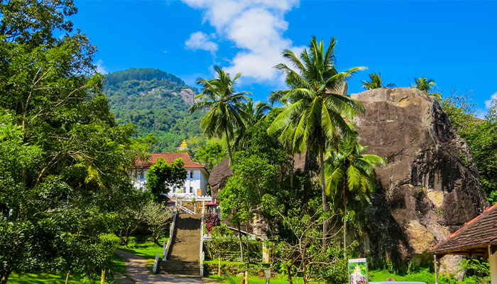 Visit Aluvihara Rock Temple, learn about ancient Buddhist manuscripts, evening mindful practice
